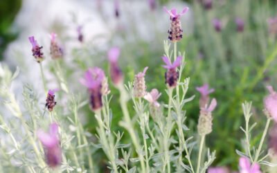 Hoe staat het met jouw ontspanning? Doe nu de test.